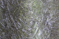 Newton Morrell fibreglass roof work